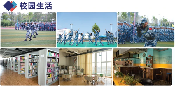 篮球训练法读后感怎么写_0